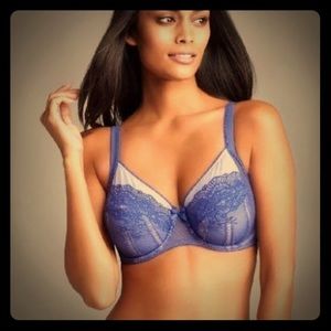 Wacoal Enchantment Sheer Lace Purple Bra US 32G
